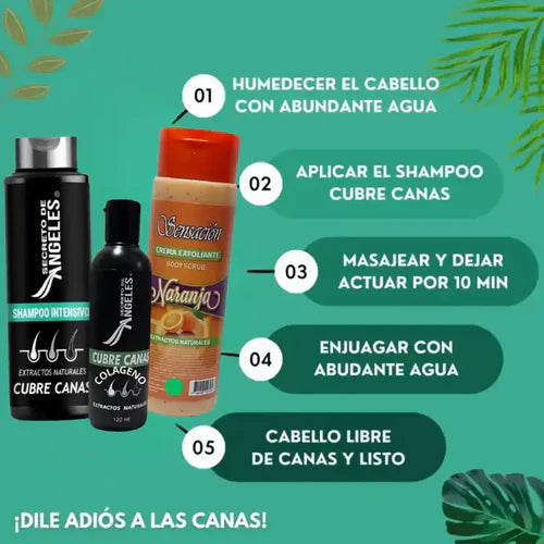 Shampoo Original Cubre Canas Secreto de Ángeles + Colageno y Exfoliante GRATIS